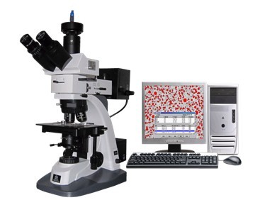 11XB-PC研究级透反射偏光暗场DIC显微镜